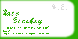 mate bicskey business card